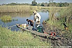 BOTSWANA_Okavango-Delta_what an adventure_ here: my good old friend Andr_backpack-trip through Eastern-, Central- and Southern AFRICA 1991-92 with Andr Zeidler_Jochen A. Hbener