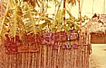 ... vorsichtig taste ich mich auf dem kleinen Inselchen der CUNA-Indios im 'Archipielago de SAN BLAS', vor_niemand dort?_jedenfalls niemand zu sehen ... _nur die weltweit bekannten, sehr geschtzten, sehr kostbaren Stickerei- deckchen der CUNA-Indios ...  _PANAMA 1974