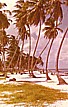 zurck auf der mrchenhaften kolumbianischen Karibik-Insel San Andrs, vor Nicaragua gelegen_1975_Jochen A. Hbener