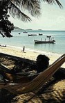  ... diese Aussicht ... von der Hängematte aus ... den gan- zen Tag ber ... tagelang ... einfach fantastisch ... Isla Margarita, VENEZUELA_Jochen 1984