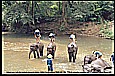 1996_THAILAND_reaching Golden Triangle by motorcycle with great difficulties_elephant camp_wonderful riding_my motorcycle-world-trip 1995/96_Jochen A. Hbener